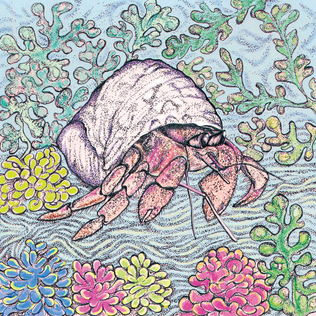 Hermit Crab Hand Drawn Art Blank Seaside Greeting Card