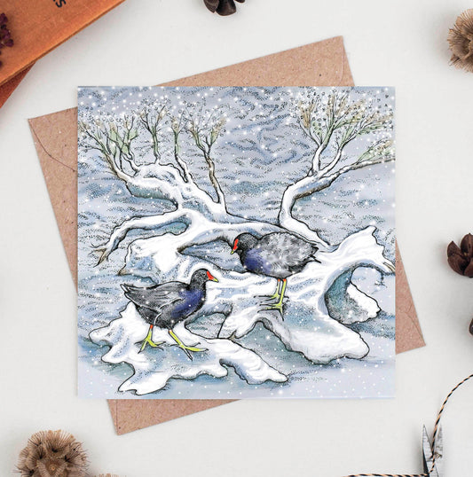 Moorhens In Snow Hand Drawn Art Blank Winter Greeting Card