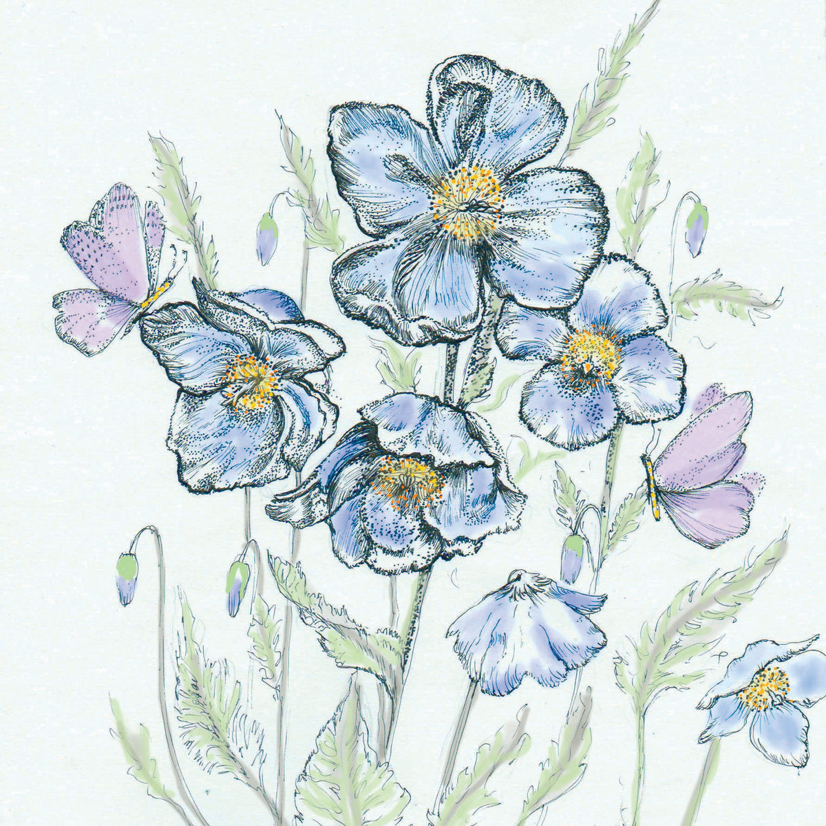 Blue Poppy Hand Drawn Floral Butterfly Blank Greeting Card