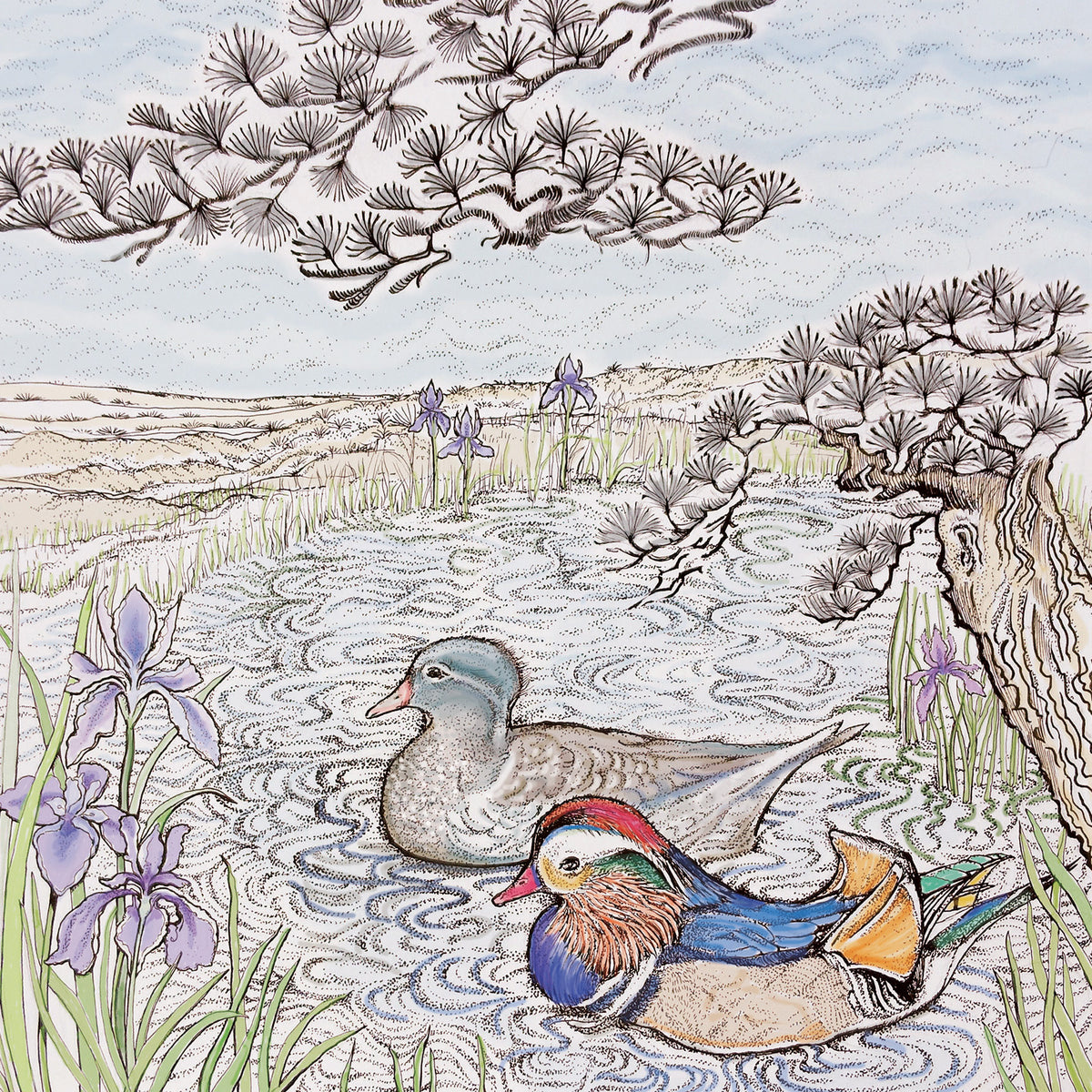 Mandarin Pair Hand Drawn Couple Bird Blank Greeting Card