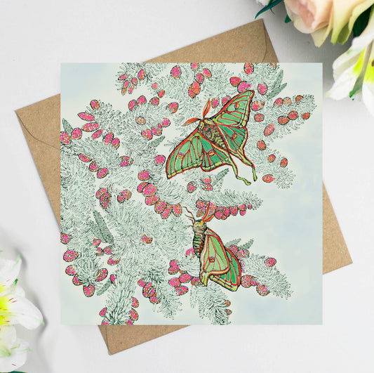 Moon Moth Hand Drawn Art Blank Nature Greeting Card