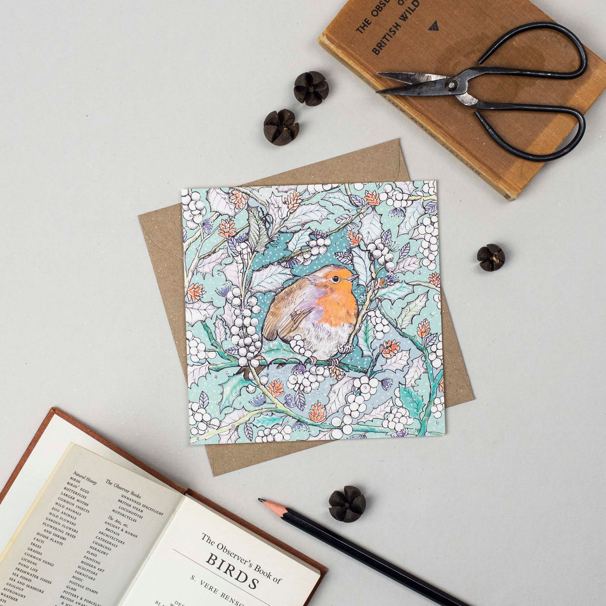 Plump Robin Hand Drawn Christmas Blank Greeting Card