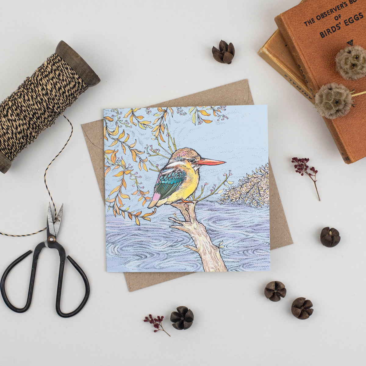 Dwarf Kingfisher Hand Drawn Art Blank Bird Greeting Card