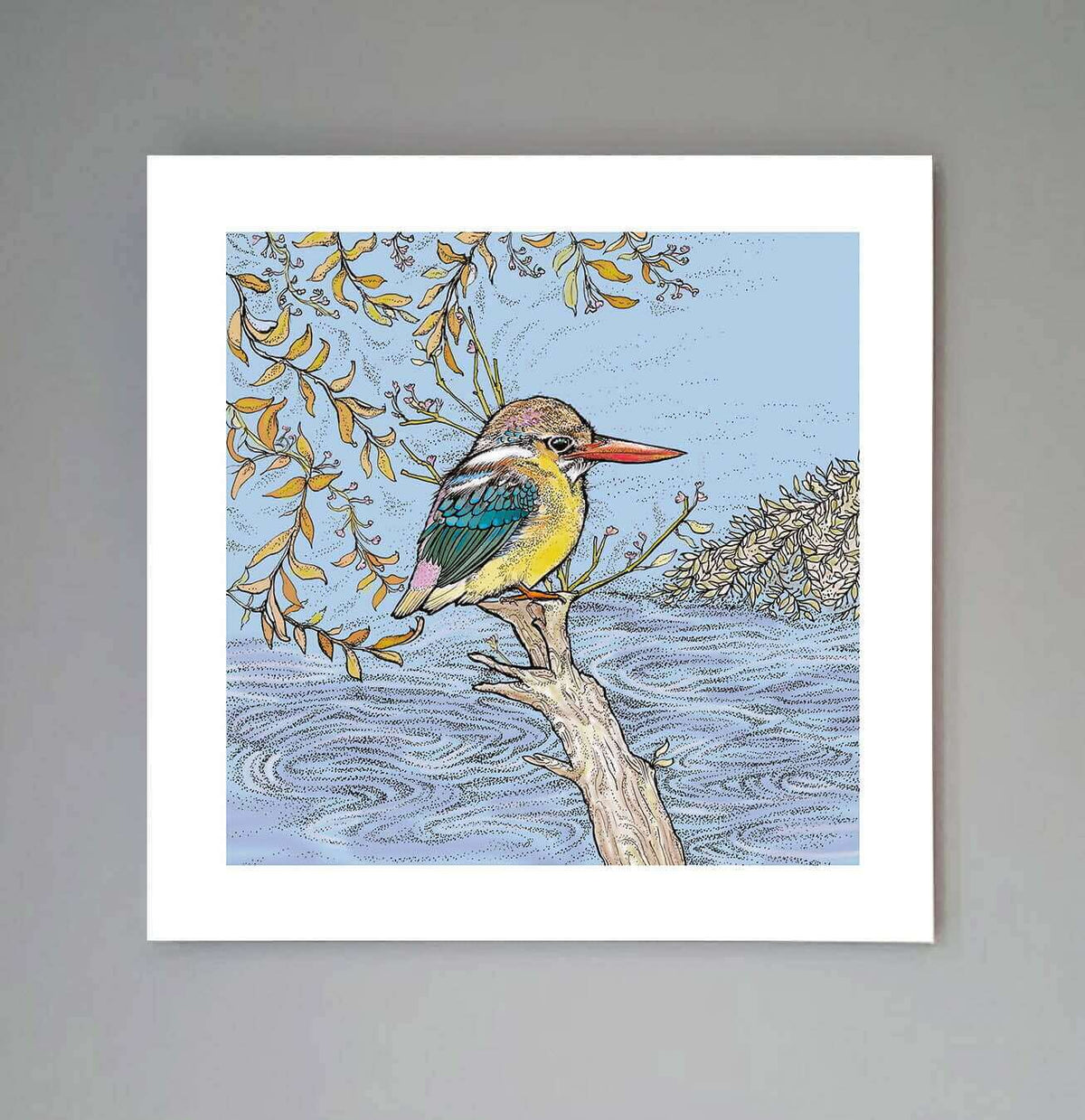 Dwarf Kingfisher Print - Fay's Studio