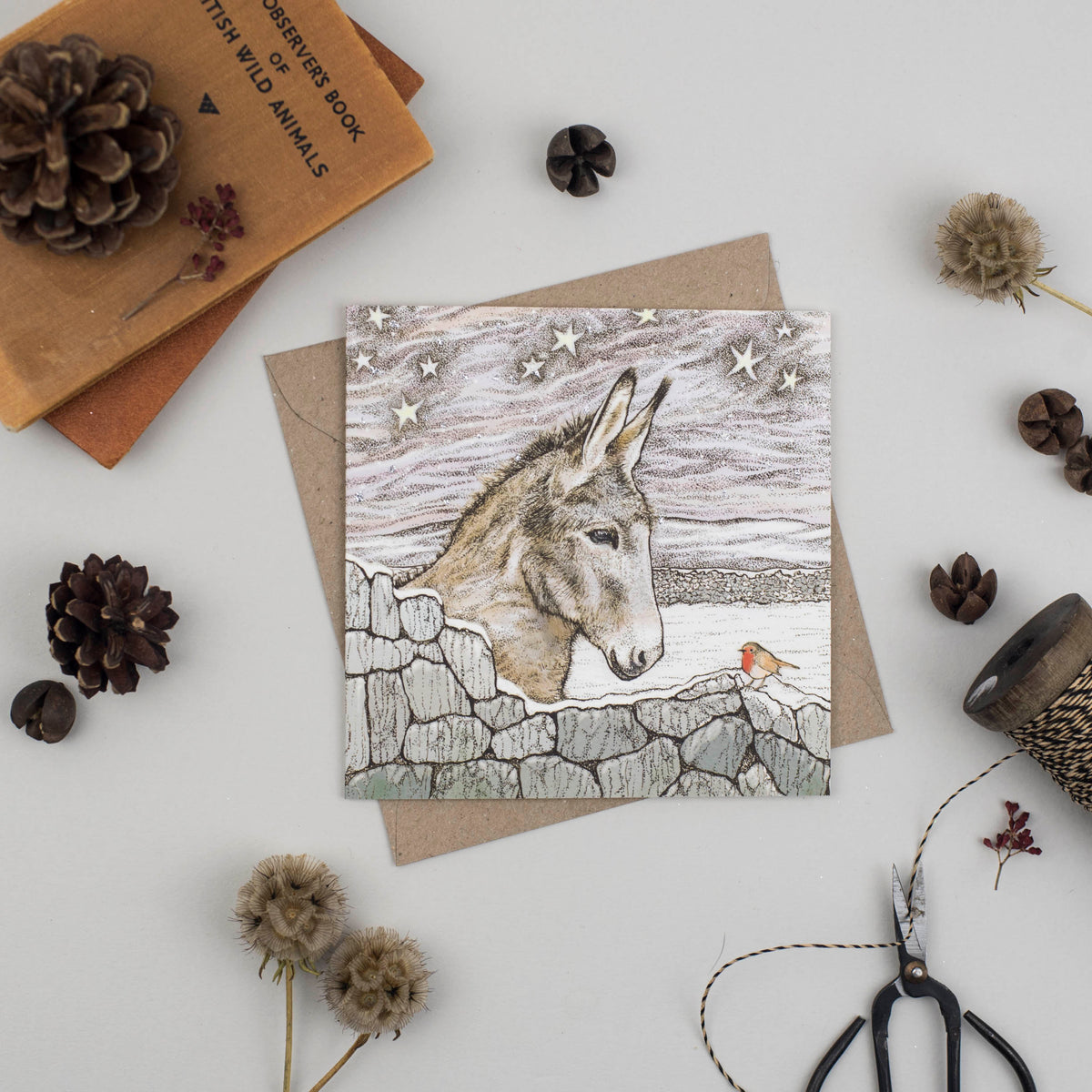 Donkey Robin Hand Drawn Art Blank Christmas Greeting Card