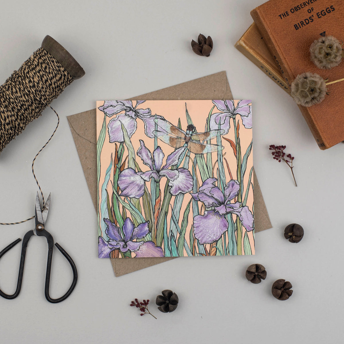 Dragonfly and Iris Hand Drawn Blank Art Greeting Card