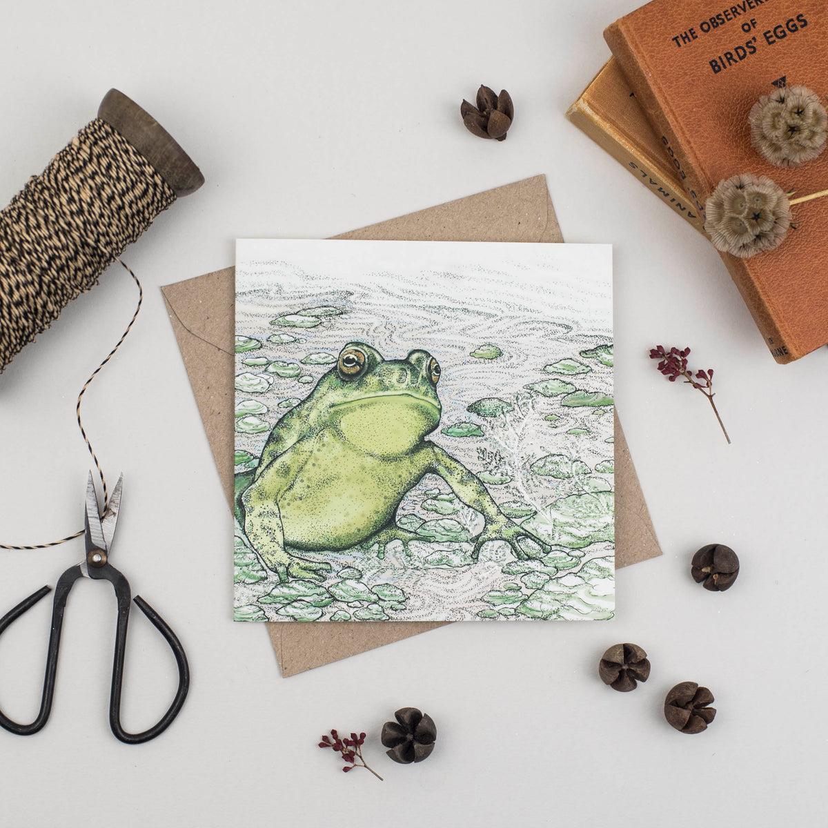 Toad Hand Drawn Frog Nature Blank Greeting Card