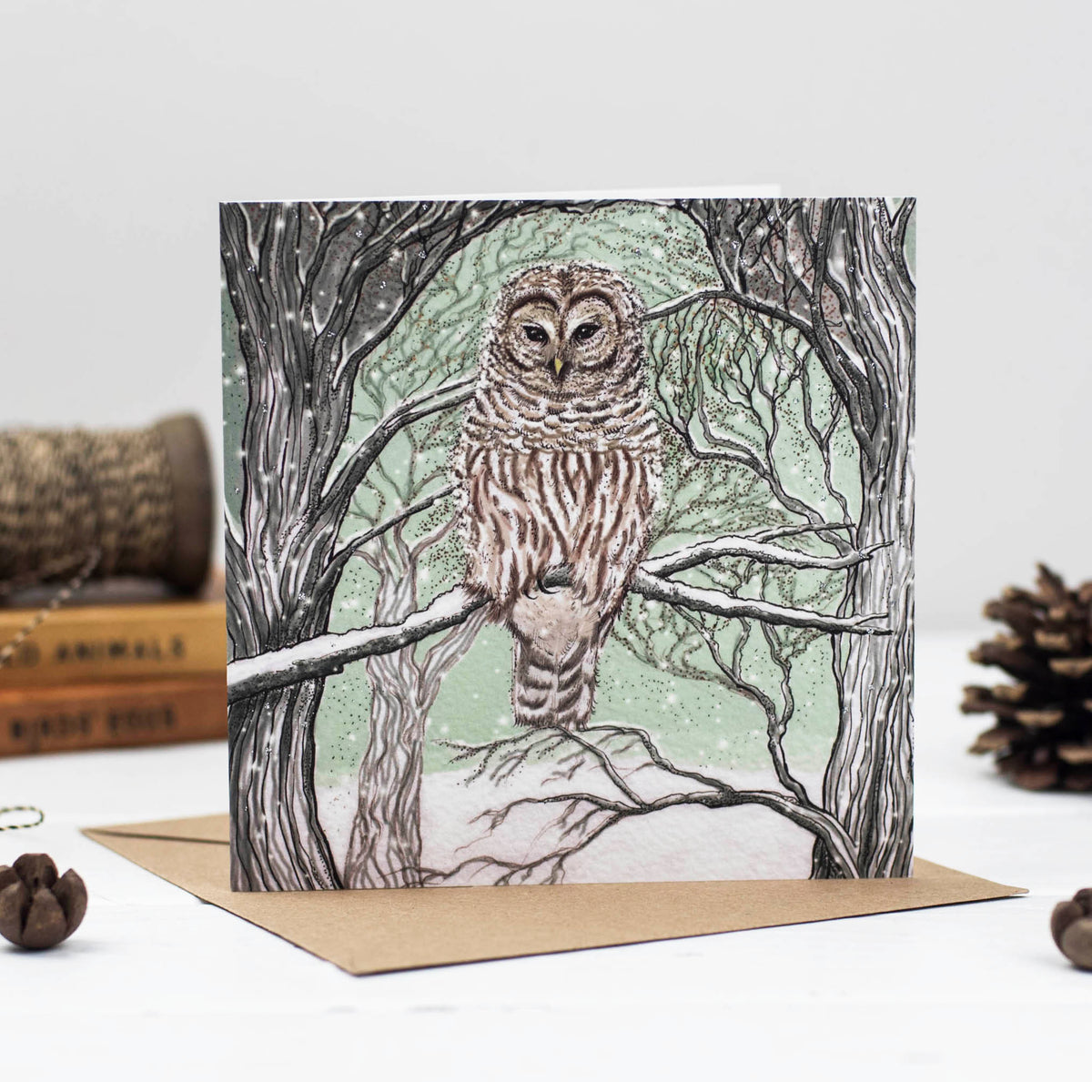 Barred Owl Hand Drawn Wildlife Art Blank Greeting Card