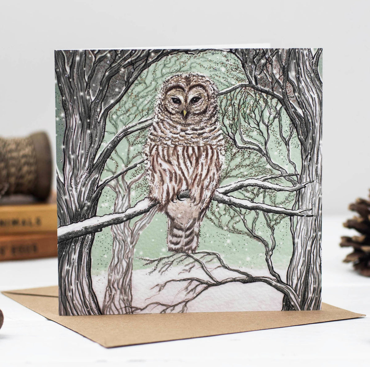 Hand Finished Owls And Pheasants Hand Drawn Mixed Pack Of 10 Blank Christmas Cards