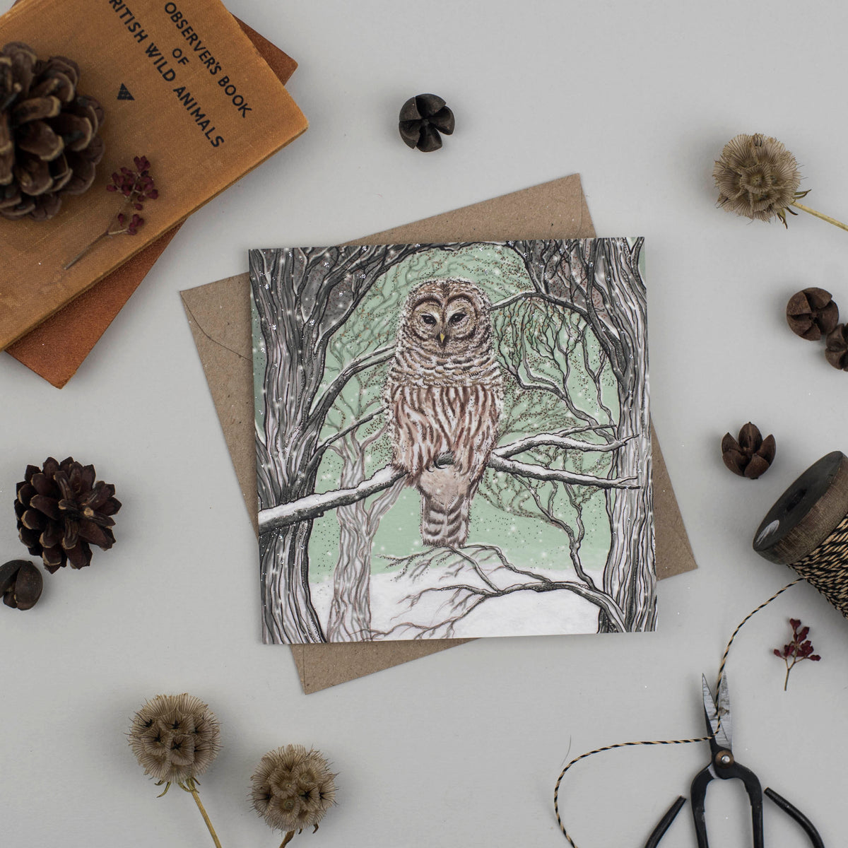 Barred Owl Hand Drawn Wildlife Art Blank Greeting Card