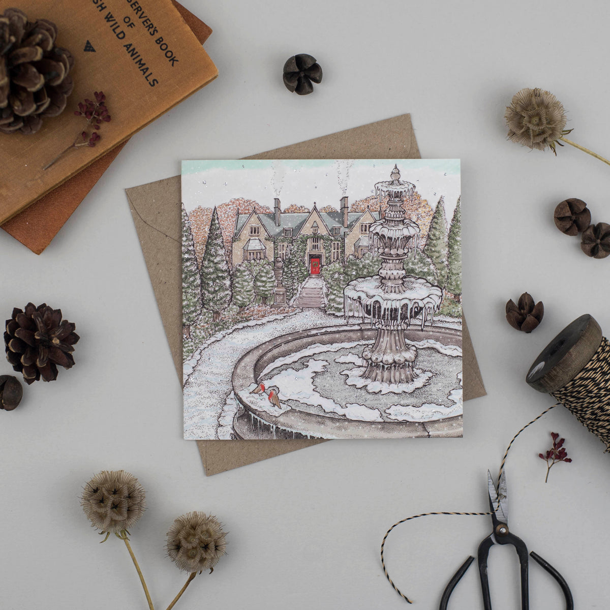 Fountain Hand Drawn Art Robins Blank Christmas Greeting Card