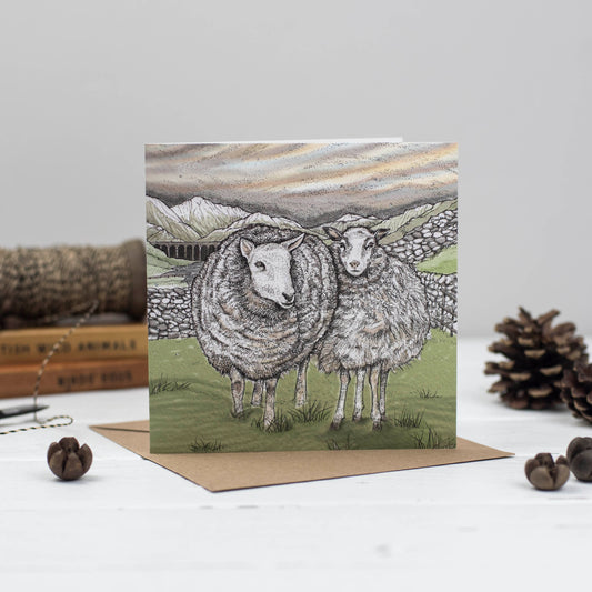 Sheep Winter Countryside Farm Blank Animal Greeting Card