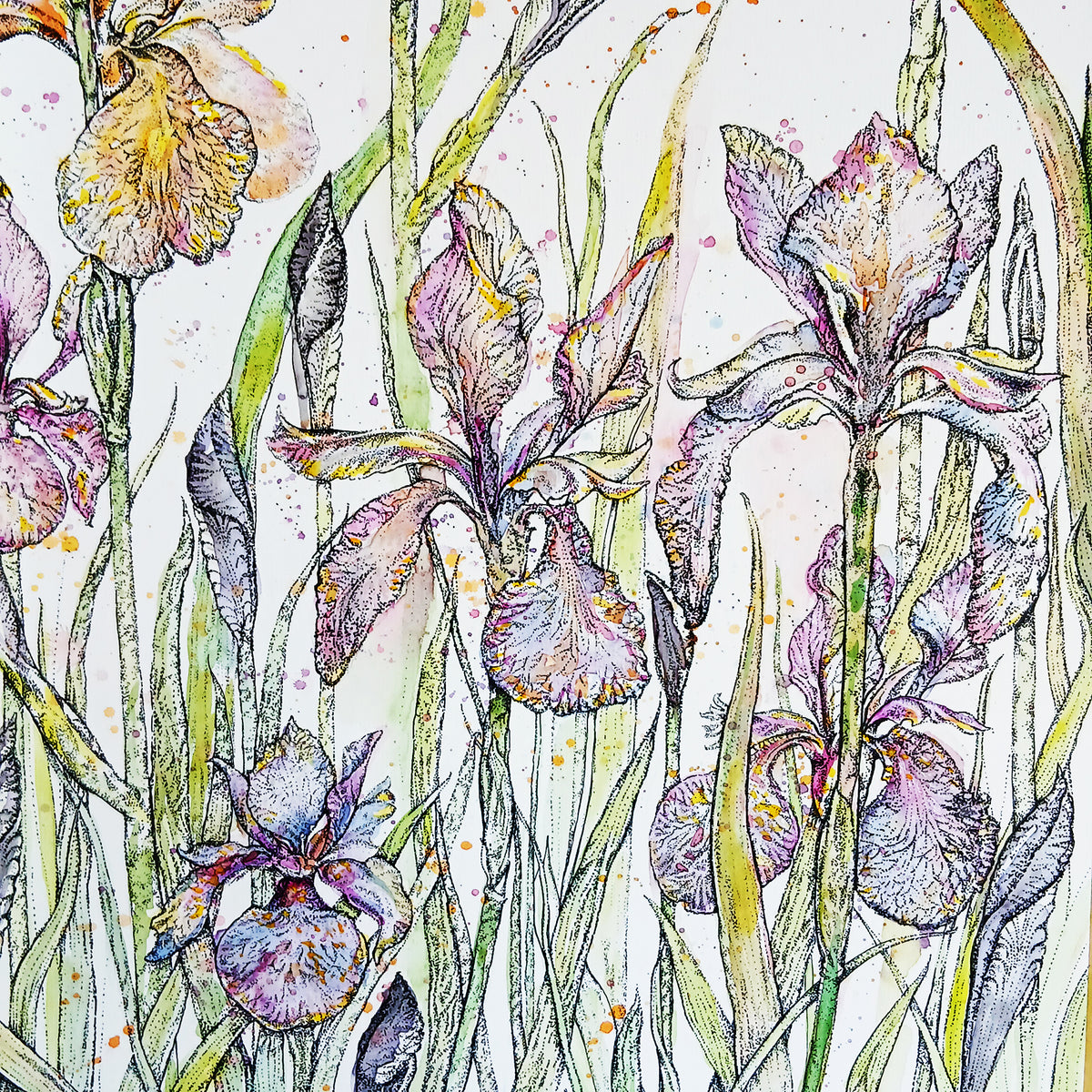 Watercolour Irises Hand Drawn Blank Art Greeting Card