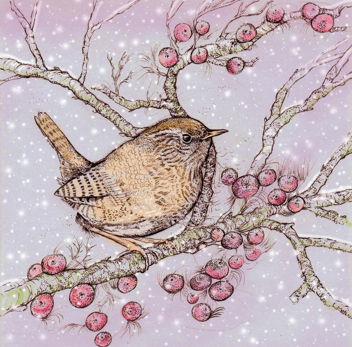 Wren and Berries Christmas Winter Art Blank Greeting Card
